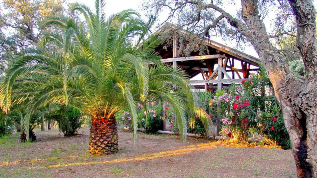 Happy Trimurti Hotel Cogolin Exterior foto